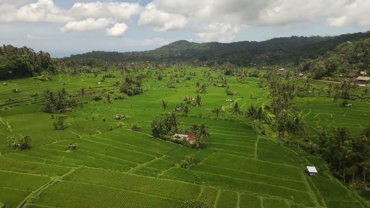 Home&Booking · Bali
